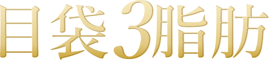 目袋3脂肪